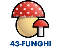 Funghi