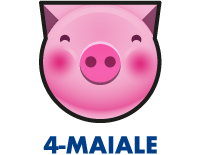 Maiale